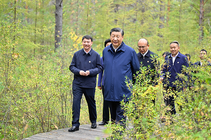 9月6日至8日，中共中央總書記、國家主席、中央軍委主席習近平在黑龍江考察。這是6日下午，習近平在大興安嶺地區(qū)漠河市漠河林場自然林區(qū)考察